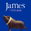 james album cover