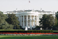 the white house