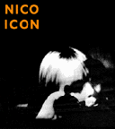 nico icon