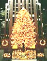 tree at rockefeller center