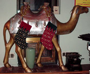camel is ready for christmas