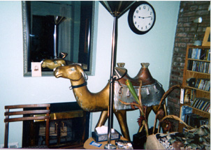 camel in living room