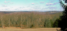 view out of motel window