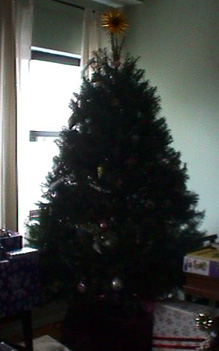 christmas tree 1998